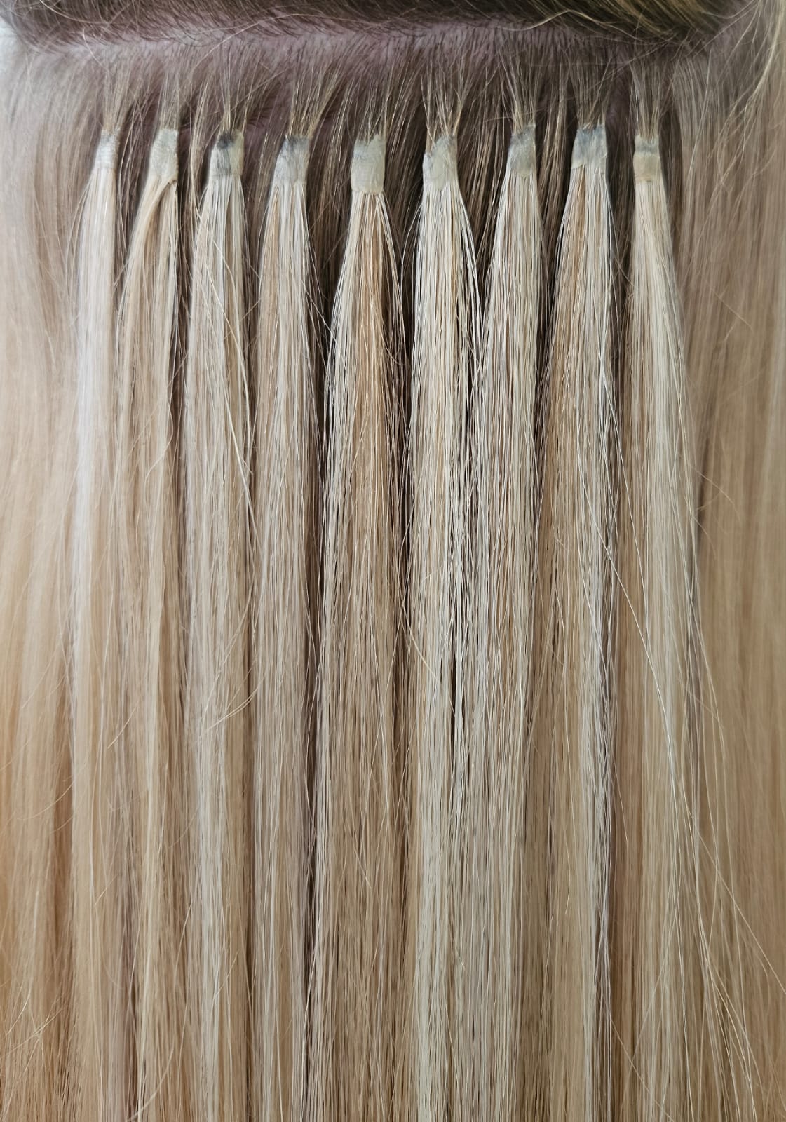 Extensionsbild 4